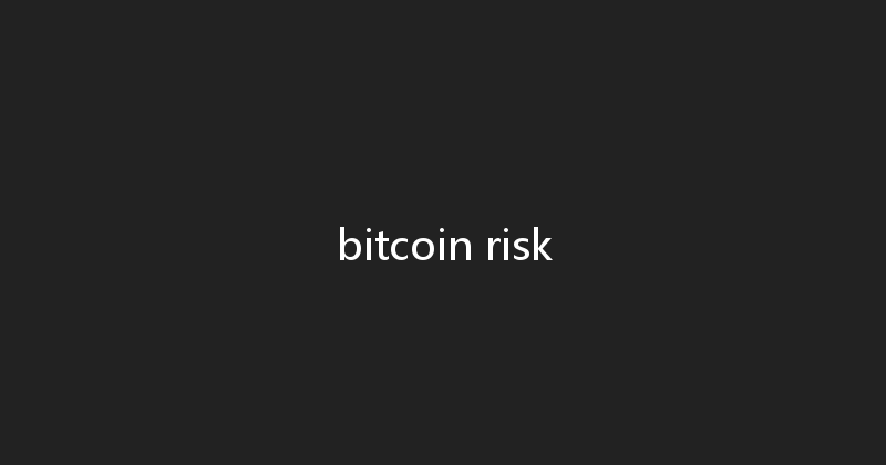 bitcoin risk 